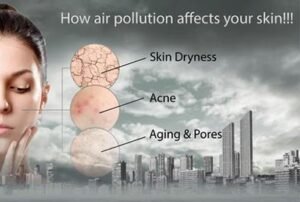 best korean skincare for delhi polluiotn 